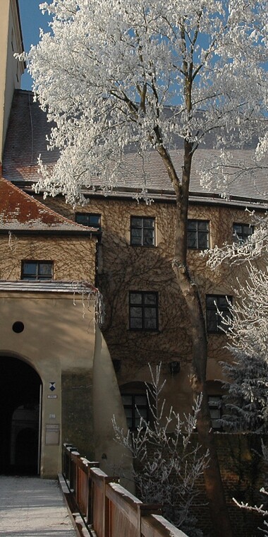 Das Schloss im Winter. Die Bäume in der Umgebung sind mit Schnee bedeckt.